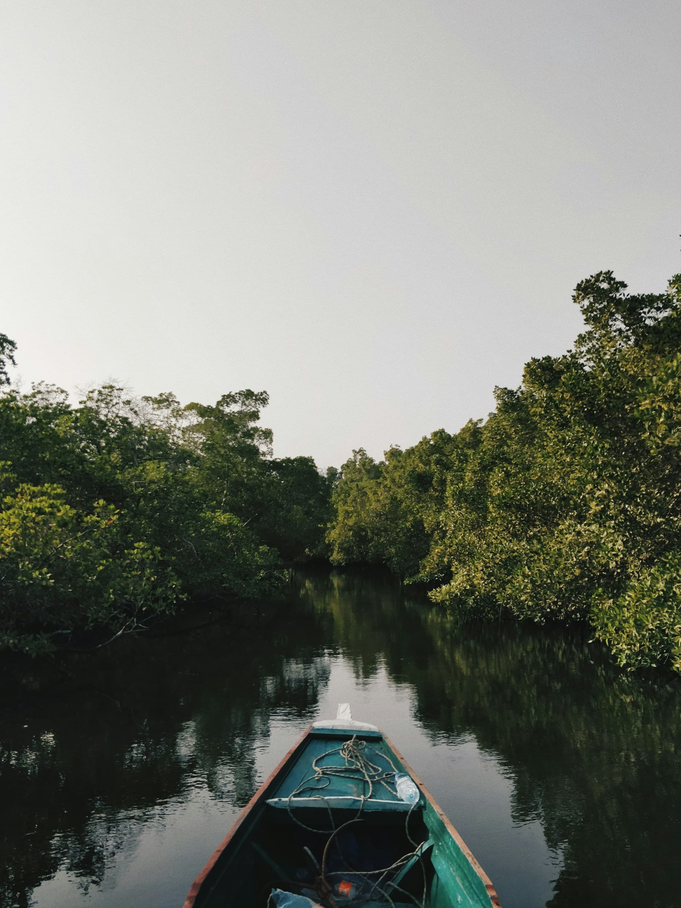 Pirogue et mangroves du Sine Saloum
